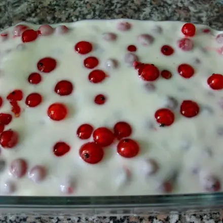 Johannisbeer-Tiramisu