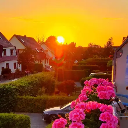 Balkonkästen: Staunässe und Überlaufen verhindern