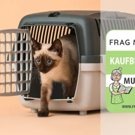 Katzentransportbox Test & Vergleich: 6 günstige Empfehlungen
