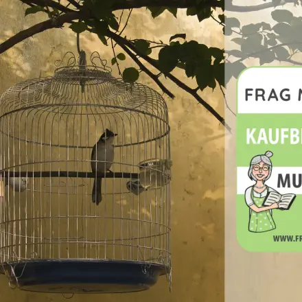 Vogelkäfig Test & Vergleich: 6 günstige Empfehlungen