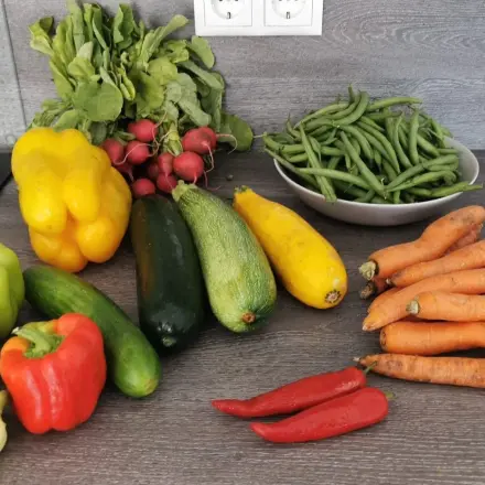 Alle Lebensmittel sind wertvoll