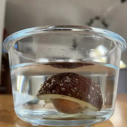 Avocado aufbewahren, ohne dass sie braun wird