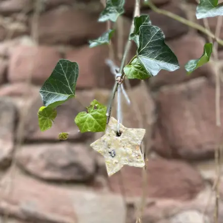 Vogelfutter selber machen mit Kokosfett