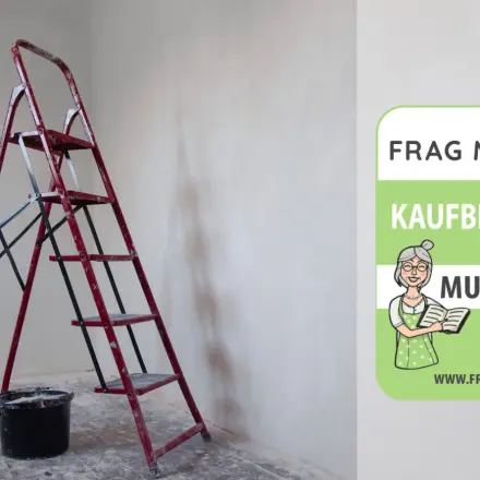 Haushaltsleiter Test & Vergleich: 6 günstige Empfehlungen