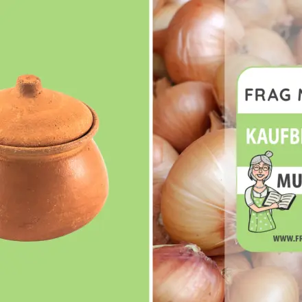 Zwiebeltopf Test & Vergleich: 6 günstige Empfehlungen
