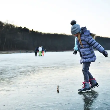 „Warum erfrieren Fische nicht im Eis?“