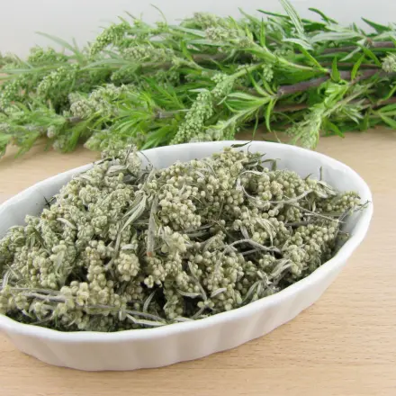 Immunsystem stärken mit Beifuß - Allzweckwaffe aus der Natur