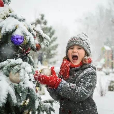 „Was hat ein Baum mit Weihnachten zu tun?"
