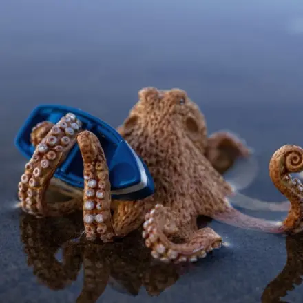 „Gibt es Riesenkraken?“