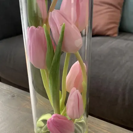 Tulpen kreativ in der Vase arrangieren