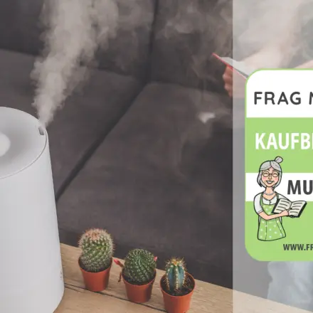 Luftbefeuchter Test & Vergleich: 6 günstige Empfehlungen