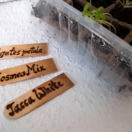 Pflanzenstecker aus Eisstielen selber machen - Upcycling DIY