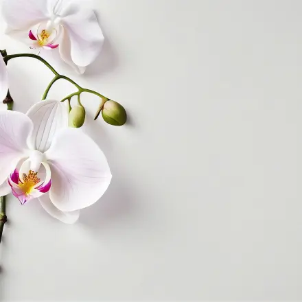 Abgerissene Blüten noch chic dekorieren