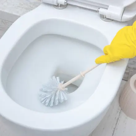 Toilette reinigen mit Gebissreiniger
