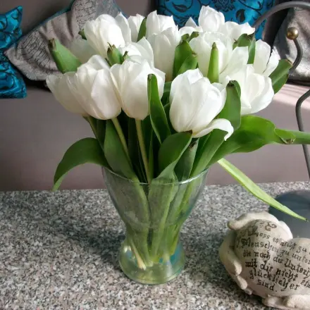 Welke Tulpen retten