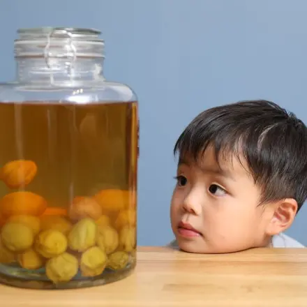 „Warum trinken Erwachsene Schnaps?“