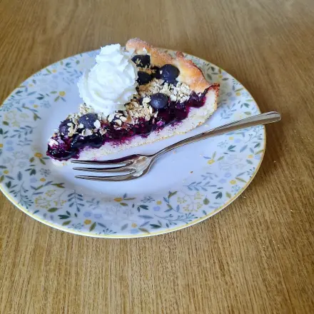 Heidelbeerkuchen mit Haferflocken-Crunchy