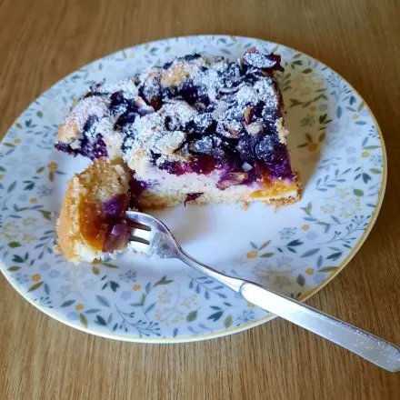 Heidelbeerkuchen vom Blech mit Aprikosen