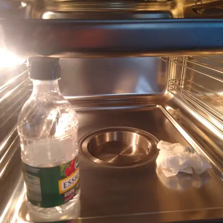Heizschale vom Dampfgarer reinigen