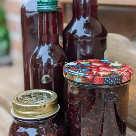 Brombeerlikör & Brombeermarmelade selber machen