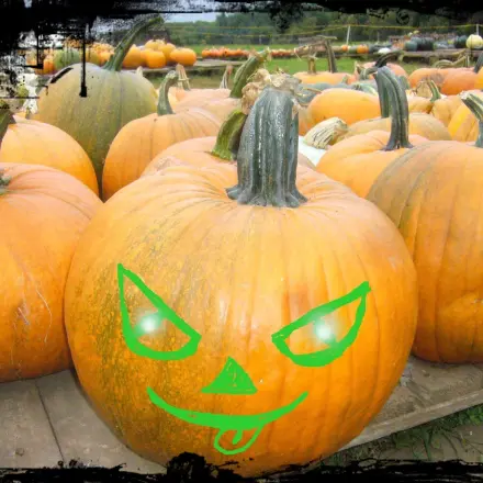 Halloween ohne Konsumstress - 5 humorvolle Tipps