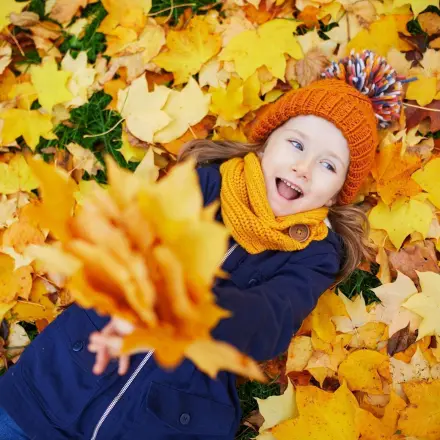 Warum werden Blätter im Herbst bunt?