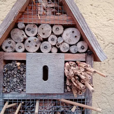 Nisthilfe für Wildbienen - schnell selbst gemacht