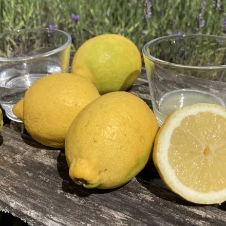 Zitronenwasser: Gesunde Entgiftung für Leber und Haut