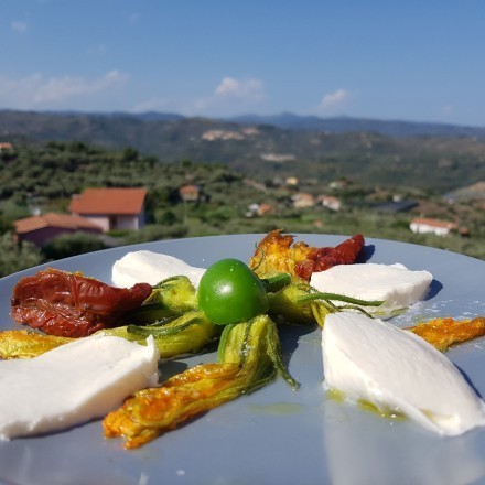 Zucchiniblüten als leckere Vorspeise