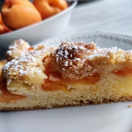 Aprikosenkuchen mit frischen Früchten