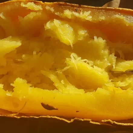 Spaghettikürbis zubereiten