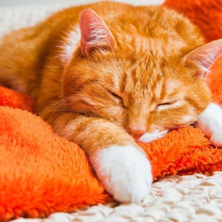 "Bernhards Welt" – Powernapping für Fortgeschrittene