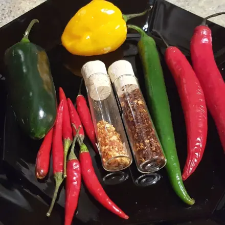 Chili: Sorten, Tipps und Schärfe neutralisieren