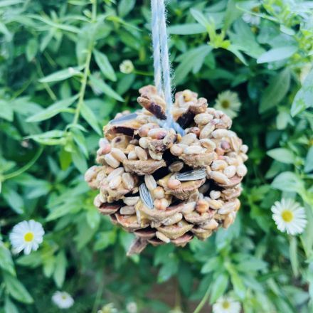 Vogelfutter-Zapfen mit Erdnussbutter selber machen