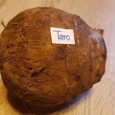 Taroknolle: Eine kleine Warenkunde