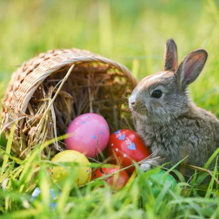 „Gibt es in anderen Ländern auch den Osterhasen?“