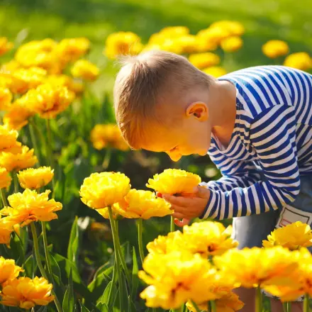„Warum duften Blumen?“