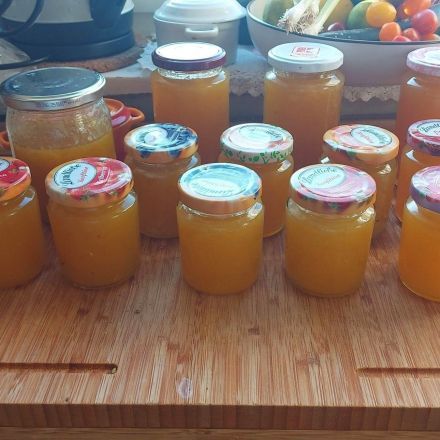 Zwetschgen-Marmelade selber machen