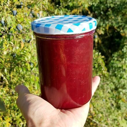 Schlehenmarmelade