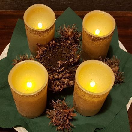 Adventliches Arrangement mit Auferstehungspflanze