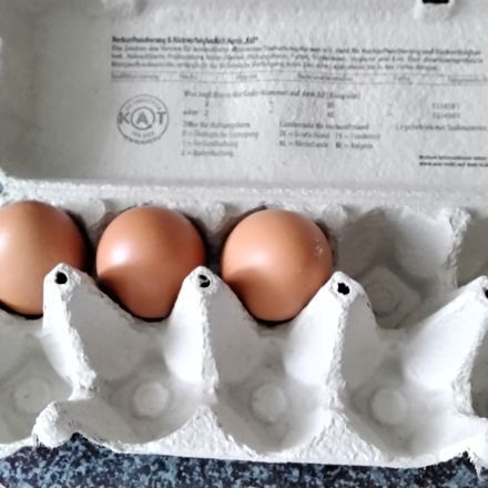 Eier leichter aus den Karton entnehmen