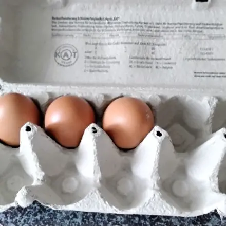 Eier leichter aus den Karton entnehmen
