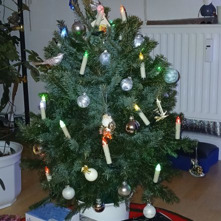 Weihnachtsbaum wiederverwenden
