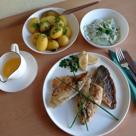 Gebratene Doradenfilets mit Gurkensalat