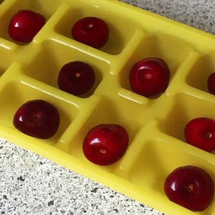 Eiswürfel mit Früchten
