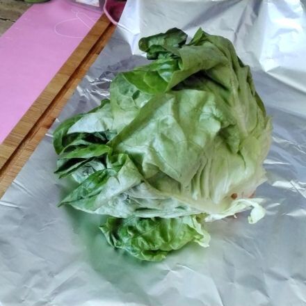 Kopfsalat länger frisch halten (Alufolien-Trick)