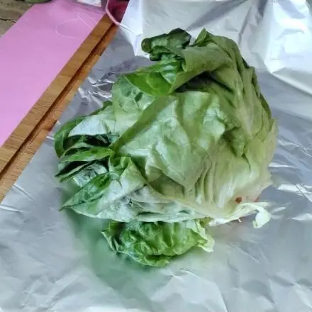 Kopfsalat länger frisch halten (Alufolien-Trick)