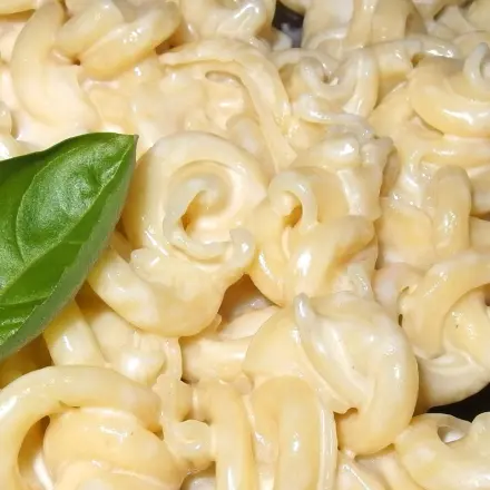 Fertigsaucen für Nudeln