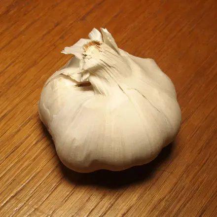 Knoblauchfahne - wo sie herkommt und was nützt (Petersilie)