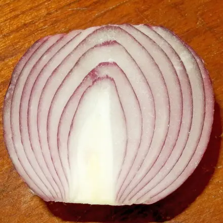 Zwiebelrest aufbewahren in gelöcherten Schraubgläsern